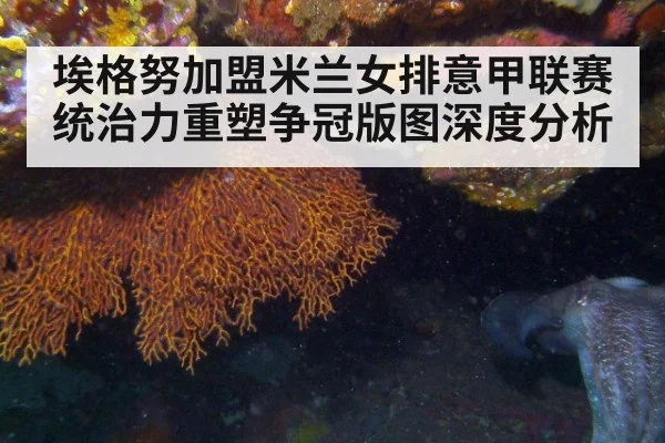 埃格努加盟米兰女排意甲联赛统治力重塑争冠版图深度分析